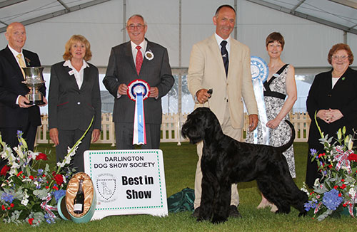 Mr & Mrs K & S Cullen & Mrs R Thomas Ch Philoma Lana Lang with BIS judge Mr G Hill, Mr D Guy (Secretary), Miss S Allsopp (Chairman) & M Masterman (RC)