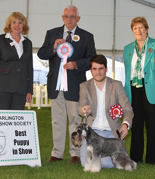 Mr T B Braithwaite Cheantake On The Rocks (Fin Imp) with BPIS judge Dr R James, Miss G Marley (Committee) & M Masterman (Royal Canin) 