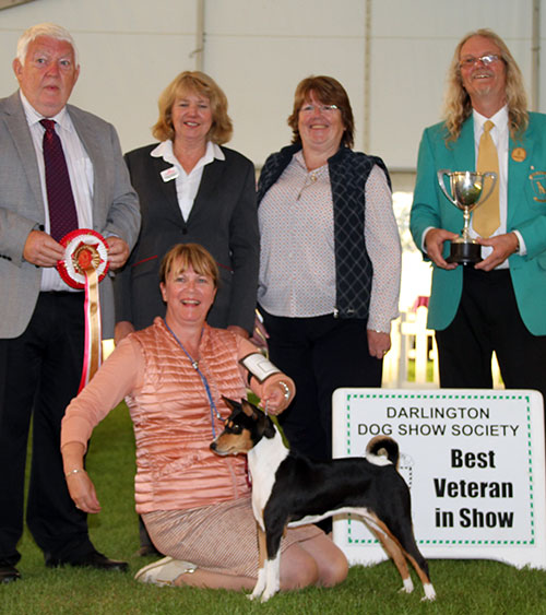 Mesdames D Hardy, P Hallam, S Kite & Gillespie Ch Am Ch Klassics Million Dollar Baby at Tokaji with BVIS judge Mr M Armstrong Mr R Burns (Committee) 