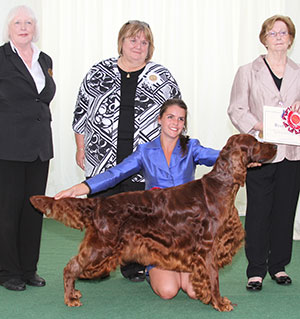 Mr B A Crocker & Miss A C Siddle Sh Ch Copper's War Of Roses with group judge Mrs S M Marshall & Mrs L McBeth (Chief Steward) 