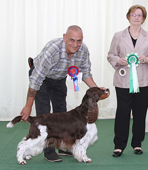 Mr & Mrs D & J Mitchell Sh Ch Peasblossom Jester with group judge Mrs S M Marshall