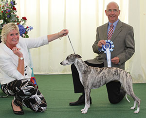 Mr D G & Mrs Y L Short Collooney Tartan Tease with group judge Mr G Corish 