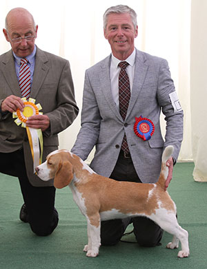 Messrs T & S Jones & Jepson Eardley Jay Walking with group judge Mr G Corish