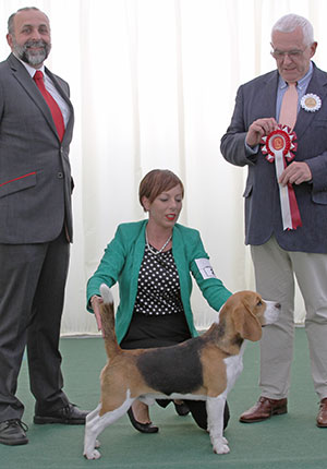 Miss M Spavin Dialynne Peter Piper with puppy group judge Dr R James & Mr A Bongiovanni (Royal Canin) 