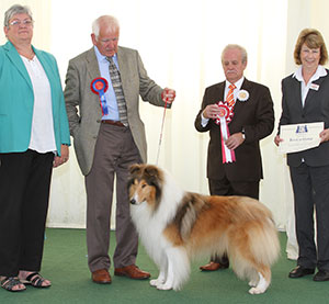 Miss M J Blake Corydon The Ringleader with group judge Mr S W Hall, Miss S Berry (Committee) & B Banyard (Royal Canin) 