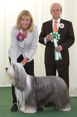 Mr M & Mrs G O'Connell Ch Moonhill Sweet Sensation of Atherleigh JW Sh.CM with group judge Mr S W Hall