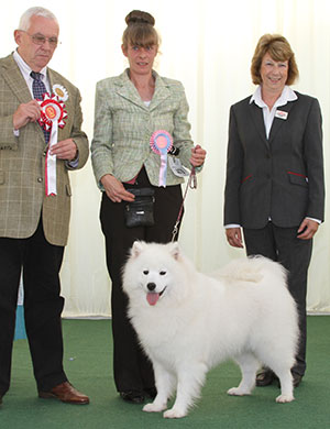 Mr C Webb & Miss R Bates Rosskaja Ice Dancer with puppy group judge Dr R James & B Banyards (Royal Canin)