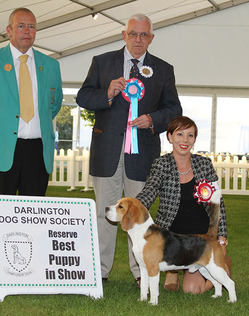 Miss M Spavin Dialynne Peter Piper with BPIS judge Dr R James & Mr M Walshaw (Committee)