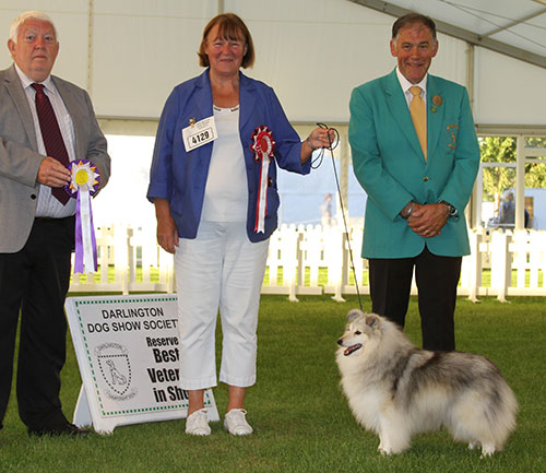 Mrs J Miles Ch Milesend Milkshake with BVIS judge Mr M Armstrong & Mr M F Thorne (Committee)