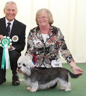 Mrs B Milton Ch Hawkesmill Jenny For Wilmit JW Sh.CM with group judge Mr D Winsley
