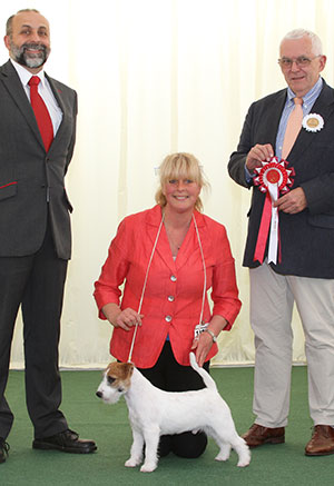 Mr A Barker Monamour Over The Rainbow with puppy group judge Dr R James & Mr A Bongiovanni (Royal Canin)