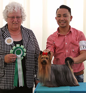 Mr K Sharp-Dixon, Mr J Reyes & Mr R Conde Mygord Duque At Queenslake (Imp) with grou judge Miss M Mallows