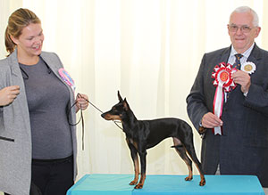 Mrs K Donaghy Thalcyon Springtime Star with puppy group judge Dr R James
