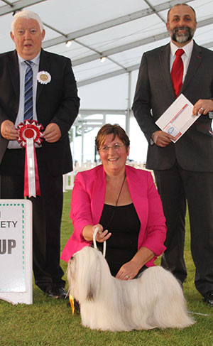 Mrs M & Mr G Roach Ch Anjesics Dream Maker JW Sh CM with veteran group judge Mr M Armstrong & Mr A Bongiovanni (Royal Canin)