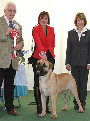 Mr P J Myers & Miss D Morgan Optimus Daffyd with puppy group judge Dr R James & B Banyard (Royal Canin)