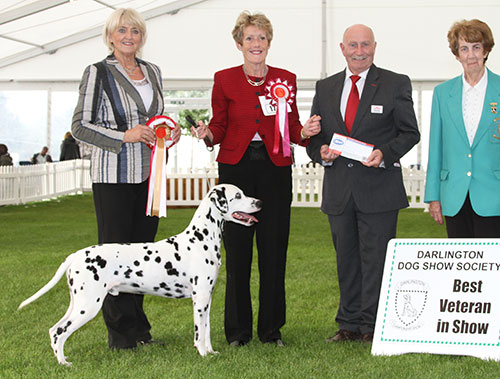 Mrs J Alexander Ch Offordale Chevalier JW with BVIS judge Mrs E P Hollings, Miss J E Corner (Committee) & Mr P Galvin (Royal Canin)