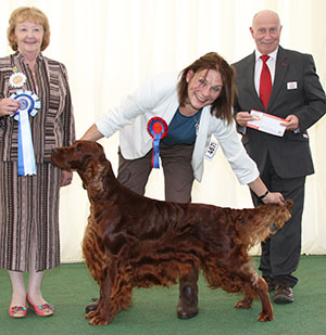 Mrs M Bott Gwendariff D'ya Know My Name By Bardonhill JW with group judge Mrs S Bunting & Mr P Galvin (Royal Canin)