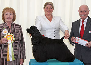 Mrs B Morris, Miss L J Bryant & Mrs L Nelson Am Ch Sh Ch Ir Ch Silhouette Troubling Nasailleen with group judge Mrs S Bunting & Mr P Galvin (R C)