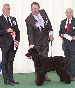 Mr A Andrews & Ms A Blades Eldarrah Clash Of Kings For Antdela with puppy group judge Mr L A S Cox & Mr P Galvin (Royal Canin)V