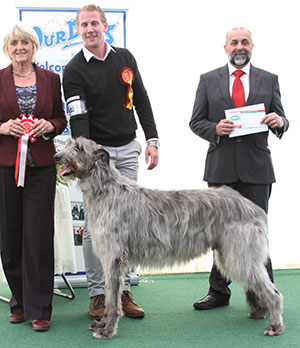 Mrs S Baumann Multi Ch Regalflight Tarloch with veteran group judge Mrs E P Hollings & Mr A Bongiovanni (Royal Canin) 