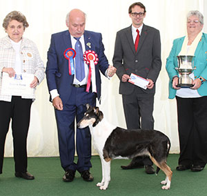 Mr T & Mrs B Hayward Multi Ch Clingstone's Hot Shot At Foxearth (Imp) with group judge Mrs V O Foss, Miss S Berry (Committee) & Mr J Wolstenholme 