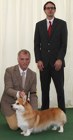 Mr K Dover & Mr L Saether Ch Pemcader Thunderball (Nbt) with Mr J Wolstenholme (Royal Canin)