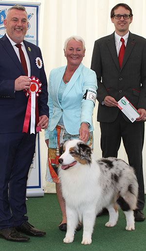 Mr N & Mrs A Allan & Mr A Winfrow Allmark The Sequel JW with puppy group judge Mr L A S Cox & Mr J Wolstenholme (Royal Canin)