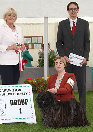 Miss A Mills Ch Tyngeli Elf Queen At Daugava with veteran group judge Mrs E P Hollings & Mr J Wolstenholme (Royal Canin)