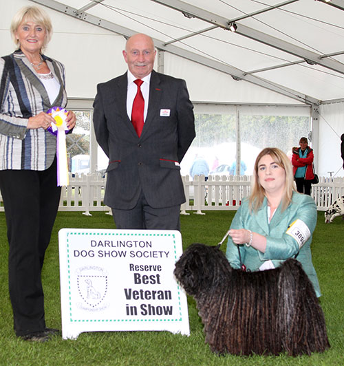Miss A Mills Ch Tyngeli Elf Queen At Daugava with BVIS judge Mrs E P Hollings & Mr P Galvin (Royal Canin)