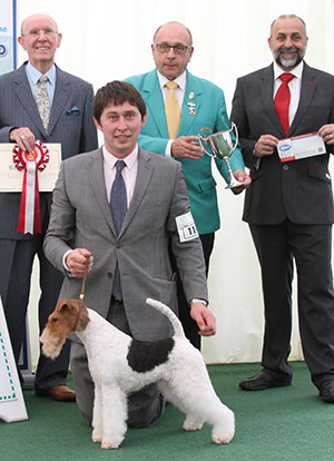 Mr V Malzoni Am Ch Hampton Courts Monte Cristo with group judge Mr A Wight, Mr S Plane (Asst Secretary) & Mr A Bongiovanni (Royal Canin) 