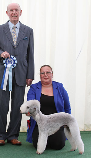 Mrs S Davies Ch Honeymist Blue Bols with group judge Mr A Wight