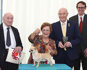 Mrs B Sutton Diamonchi Astroman with group judge Mr M C Freeman, Mr D Guy (Secretary) & Mr J Wolstenholme (Royal Canin) 