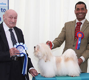 Mr J A Ashwood Silviesol Priscilla with group judge Mr M C Freeman