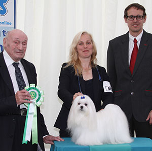 Mrs S & Miss R Jackson Ch Benatone Kinky Boots TAF with group judge Mr M C Freeman & Mr J Wolstenholme (Royal Canin) 