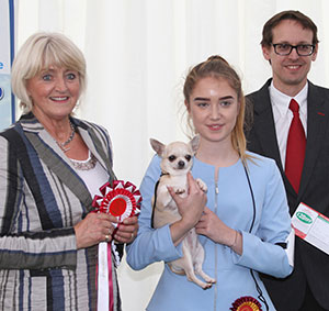 Miss I Taylor Berrymina Amy Rose By Pepetolynn with veteran group judge Mrs E P Hollings & Mr J Wolstenholme (Royal Canin) 