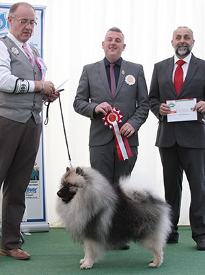 Messrs M & D & Mrs L Matthews & Mrs U Ransley Szaryk Dutch Bargemaster With Valindale with puppy group Mr L A S Cox & Mr A Bongiovanni (Royal Canin)