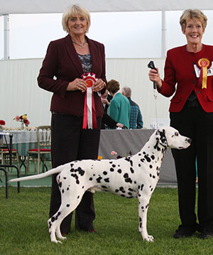 Mrs J Alexander Ch Offordale Chevalier JW with veteran group judge Mrs E P Hollings