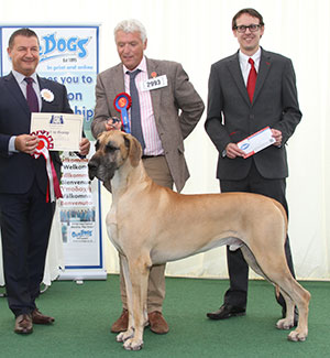 Mr & Mrs L Webb & Mr L Morgan-Evans Ch Vanmore Stop And Stare at Castleon with group judge Mr P Harding & Mr J Wolstenholme (Royal Canin)