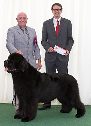 Mrs L Chapman & Mr T Chapman Ch Merrybear D' Artagnan with Mr J Wolstenholme (Royal Canin)