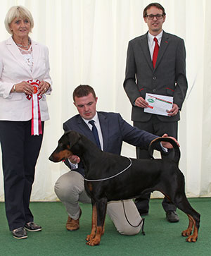 Mrs J A & Miss V L Ingram Ch Tronjheim Belladonna From Jojavik JW Sh CM with veteran group judge Mrs E P Hollings & Mr J Wolstenholme (Royal Canin)