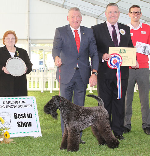 Mr R Tasselli Balboa Nembo Kid with BIS jude Mr T Mather, Miss S D Allsopp (Chairman) & Mr J Wolstenholme (Royal Canin)  