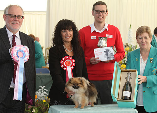 Ms S Smith Sueacres Bettin On Evie with BPIS judge Mr S Parsons, Ms G Marley (Committee) & Mr J Wolstenholme (Royal Canin)  