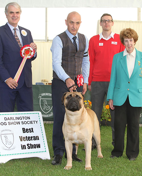 Mr P J Myres & Miss D Morgan Ch Old Manila's Whisky Mac For Optimus JW with BVIS judge Mr G Dymock, Miss J E Corner (Committee) & Mr J Wolstenholme RC