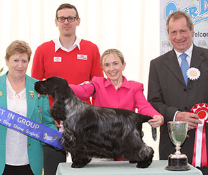 Miss S Amos-Jones Sh Ch Veratey Vincenzo At Cassom JW with group judge Mr S A Hollings, Ms G Marley (Committee) & Mr J Wolstenholme (Royal Canin)