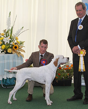 Mrs D O'Neill & Miss J O'Neill Sh Ch Chesterhope Thrill Of T Chase (Imp) with group judge Mr S A Hollings