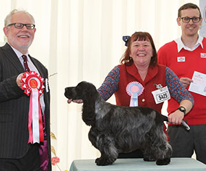 Miss S J Whiting Annilann Miss Zing with puppy group judge Mr S Parsons & Mr J Wolstenholme (Royal Canin)