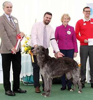 Mrs K Constantine Gentiehun Adelaide Of Kaleginy Sh CM with veteran group judge Mr G Dymock & Mr J Wolstenholme (Royal Canin)