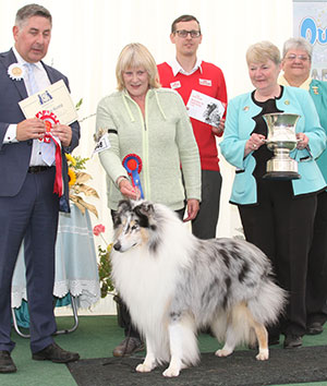 Mr G Falletto Multi Ch One Extraordinary Blu Di Cambiano with group judge Mr J Horswell, Miss S Berry (Committee) & Mr J Wolstenholme (Royal Canin) 