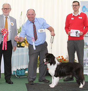 Mr & Mrs P & Y Simmons & Mrs D Inverno Sashdan Never Ending Story (ai) with puppy group judge Mr S Parsons & Mr J Wolstenholme (Royal Canin)