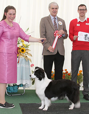 Mrs J K Gregory Sh Ch Tonkory Qu'est Que C'est JW with veteran group judge Mr G Dymock & Mr J Wolstenholme (Royal Canin)